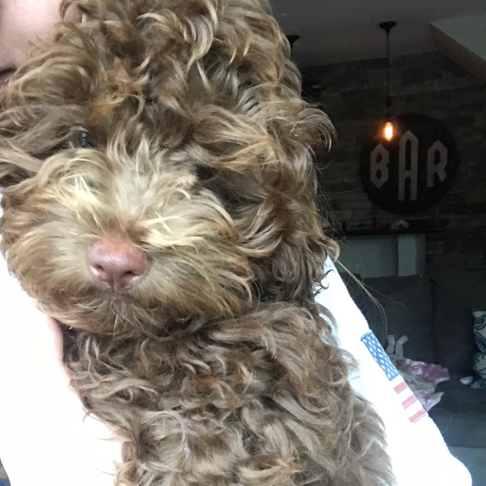 Meet your Posher, Savitha